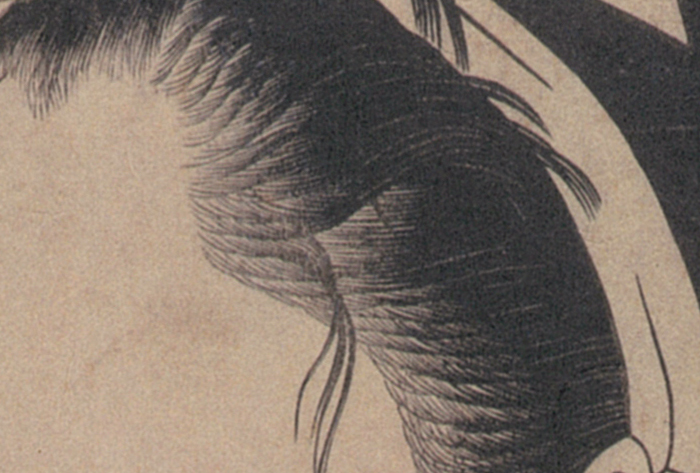 浮世絵は「ukiyo-e space」 - 柔らかな温かみのある風合い・素朴さを再現した複製の美人画